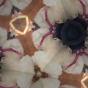 Meet your Posher, Kyanna